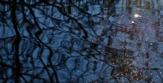 Le point dans le cercle